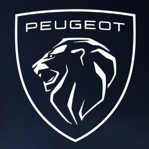 سعر بيجو الجزائر