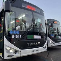 tirsam bus etusa algerie
